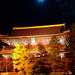 Nighttime Tour of Kyoto by Bus