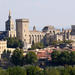 Full Day Avignon Private Tour of Pope's Palace and Chateauneuf du Pape from Nice