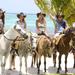 Horseback Riding Tour Punta Cana Ecological Reserve