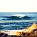 7-Day Byron Bay, Evans Head and Moonee Beach Surf Safari from Brisbane, Gold Coast or Byron Bay