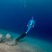 Half-Day Discover Freediving Experience in Sail Rock