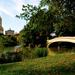 Central Park Photo Tour