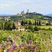 Small-Group Tuscany Wine Country Day Trip from Rome Including Wine Tasting