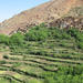 Overnight Hike in the Berber Villages from Marrakech 