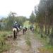 Half Day Horseback Riding Tour from Cusco