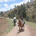 Horseback Riding Cusco: Experience the Peruvian Paso Horses