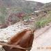 Horseback Riding in Cusco: Sacred Valley of the Incas