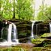 Great Smoky Mountains Waterfall Adventure