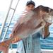 Gold Coast Half-Day Fishing Charter