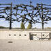 Dachau Concentration Camp Memorial Small Group Tour from Munich