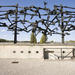 Small-Group Dachau Concentration Camp Tour from Munich