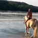 Private Horse Riding near Budapest with Lunch