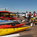 Half-Day Sea Kayaking Tour on Quadra Island