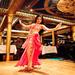 Dinner Cruise On the Nile in Cairo with Belly Dancer Show Includes Pickup and Drop off Transfers