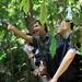 Rain Forest Nature Walk Expedition and Banana Plantation from Limon