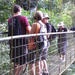 Rainforest Skywalk and Tarcoles River Eco Cruise Tour 