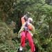 Zipline and Rainforest Aerial Tram Tour from Puntarenas