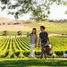 De Bortoli Yarra Valley Estate Gourmet Food and Wine Tasting Experience Including 3-Course Lunch