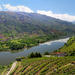 Full-Day Tour: Douro Valley Trip from Porto