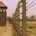 Auschwitz 1 Day Tour from Lodz