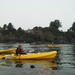 Ocean Kayaking Experience in Brookings 