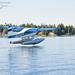 Seattle Seaplane Tour