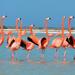 Private Tour: Flamingos, Mayan Temples, Rio Lagartos and Ek Balam