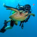 Scuba Diving for Beginners on the Leeward Coast