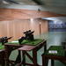Evening Gun Range Shooting Experience in Newton Abbot