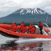 Ride an Ocean Raft Along a Volcanic Coastline to View Wildlife and Spectacular Scenery