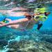 St Maarten Sailing and Snorkeling Tour: Tintamarre Island, Creole Rock and Lunch in Grand Case