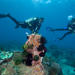 PADI Discover Scuba Diving for Beginners in Padangbai