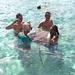 Bora Bora Snorkel, Shark and Ray Feeding Excursion