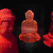Buddhist Art Tour at LWH Gallery in Shanghai