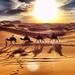 3-Days Merzouga Desert Small-Group Guided Tour from Marrakech