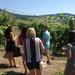 Oliver Black Sage Wine Tour from Osoyoos