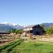 Horseback Ride through Canadian Mountains