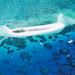 Michaelmas Cay Dive and Snorkel Cruise from Cairns
