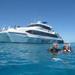 Outer Great Barrier Reef Dive and Snorkel Cruise from Cairns