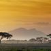 5-Day Panorama Route and Kruger Safari Tour from Johannesburg