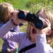 Private Tour: Bird-Watching for Beginners in Cancun