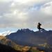 Zipline Day Trip from Cusco