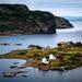 4-Day St John's Newfoundland Culinary Adventure