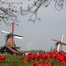 4-Hour Zaanse Schans and Volendam Guided Tour