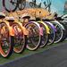 Los Angeles Beach Cruiser Bike Rental