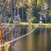 Saint Petersburg Morning Ziplining in the Rope Park