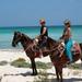 Horseback Riding from Riviera Maya