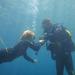 Guided Beginners Diving Session in Mallorca 