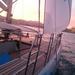 Sunset Catamaran Sailing in Mallorca