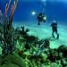 Scuba Diving Day Trip from Cartagena